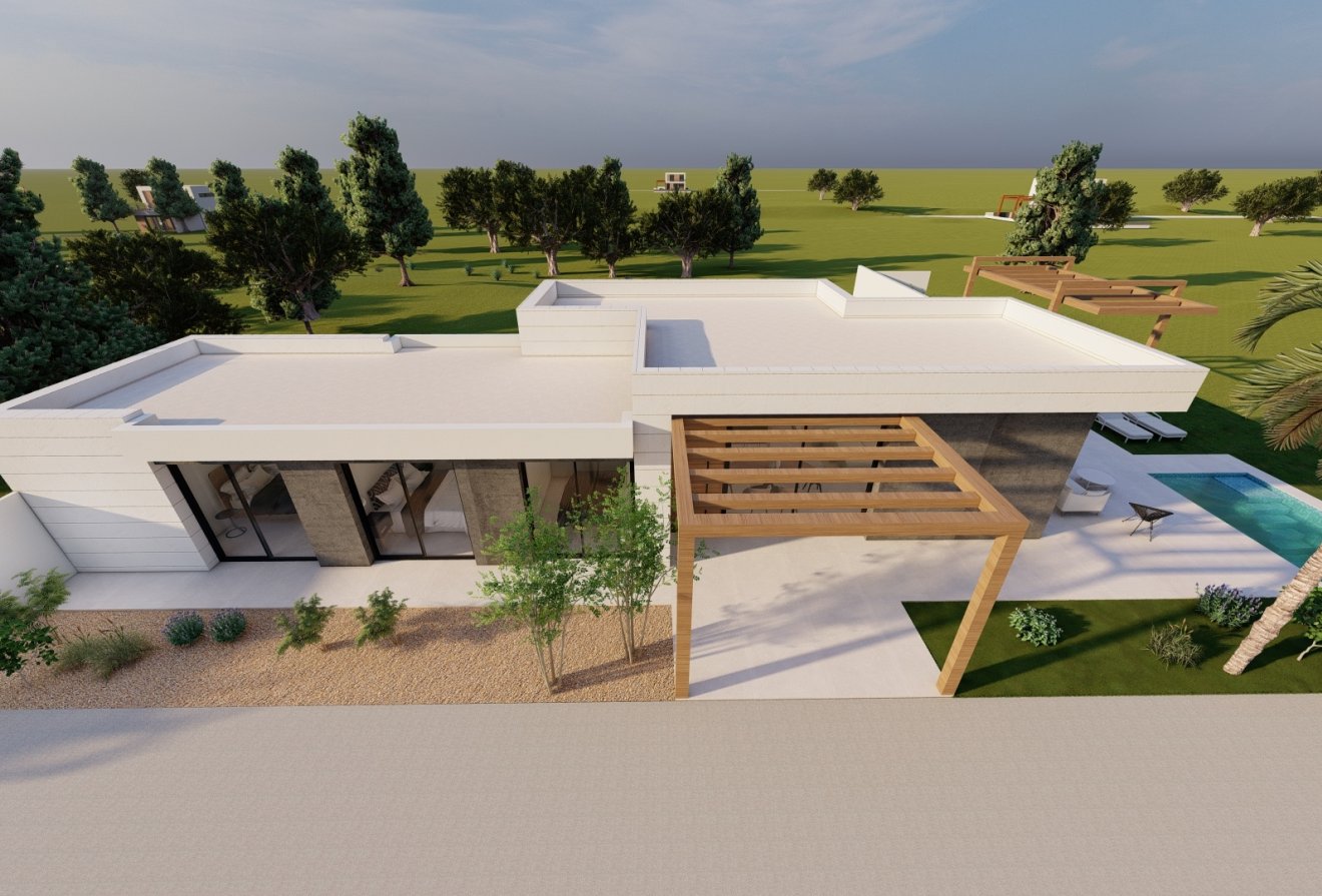 Nieuwbouw - Villa -
Pilar de la Horadada