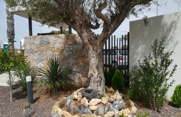 New Build - Apartment / flat -
Torrevieja