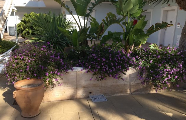 Herverkoop - Appartement -
Benissa - La Fustera